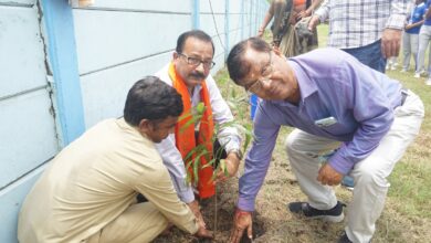 Photo of डीएवी पब्लिक स्कूल, सिन्दरी में “वन महोत्सव – एक पेड़ माँ के नाम” कार्यक्रम का भव्य आयोजन* 