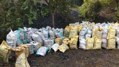 Photo of ब्रेकिंग न्यूज़