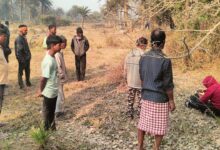 Photo of मनोहरटाँड़ में झाड़ियों में पेड़ से लटका मिला 25 वर्षीय युवक का शव