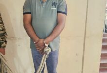 Photo of धनबाद पुलिस का बड़ा प्रहार: प्रिंस खान गिरोह का गुर्गा दिलीप सिंह गिरफ्तार