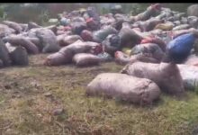 Photo of लोदना ओपी या ‘कोयला माफिया’ का हेडक्वार्टर ड्राइवर बना अघोषित थानेदार, खाकी शर्मसार