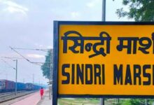 Photo of मार्शलिंग यार्ड में पेलोडर का बकेट गिरने से मैकेनिक की मौत, मुआवजे को लेकर परिजनों में आक्रोश