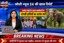 Photo of बगोदर प्रखंड क्षेत्र के अटका लक्ष्मीबागी में विगत कुछ दिनों से जंगली हाथियों का आतंक लगातार जारी है।