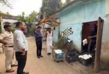 Photo of आप इसे बिना किसी अतिरिक्त फॉर्मेटिंग के सीधे उपयोग कर सकते हैं