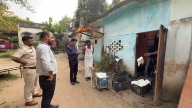 Photo of आप इसे बिना किसी अतिरिक्त फॉर्मेटिंग के सीधे उपयोग कर सकते हैं